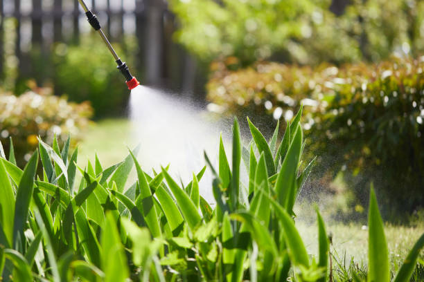 Tamper-Resistant Bait Stations for Rodents in Shannon
