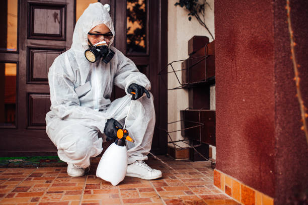 Attic and Crawl Space Rodent Treatment in Shannon